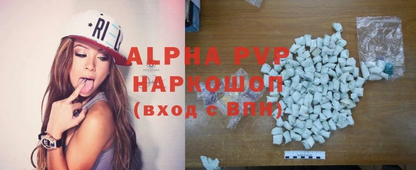 прущие грибы Бородино
