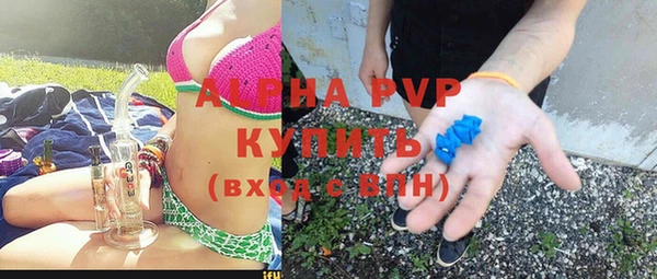 прущие грибы Бородино