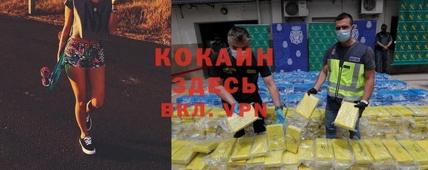 прущие грибы Бородино