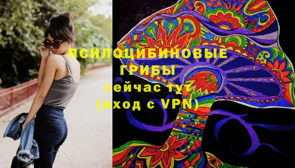 прущие грибы Бородино