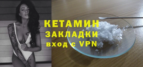 прущие грибы Бородино