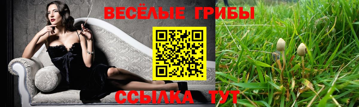 Псилоцибиновые грибы мухоморы Армавир