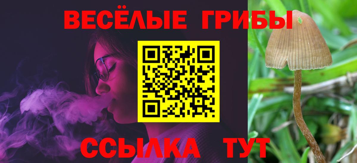 Армавир  Псилоцибиновые грибы прущие грибы  Вход с VPN 